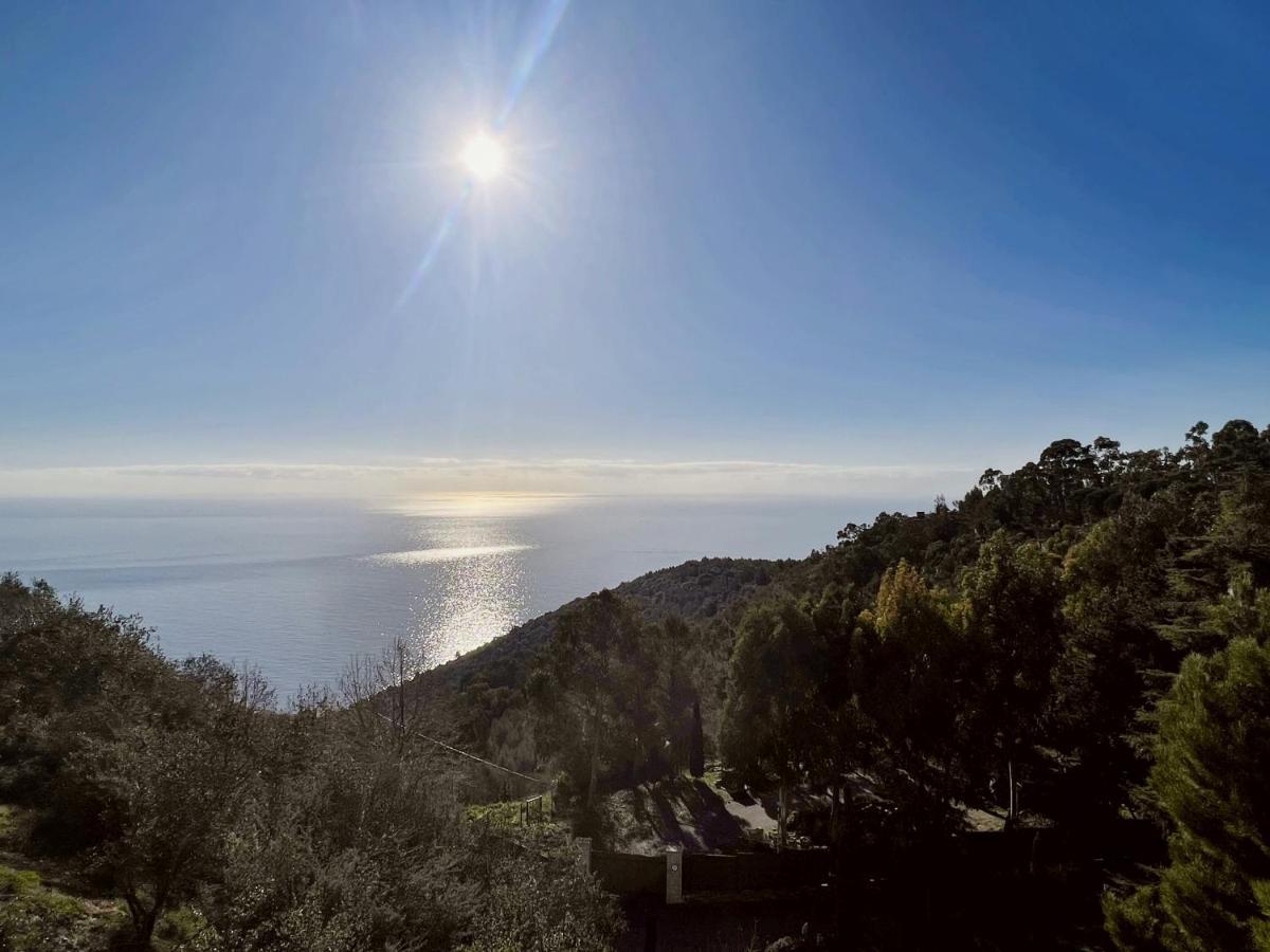 Magnifique 3 Pieces Vue Mer - Eze Apartment Екстериор снимка